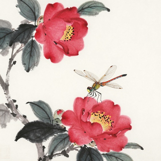 蜻蜓立山茶