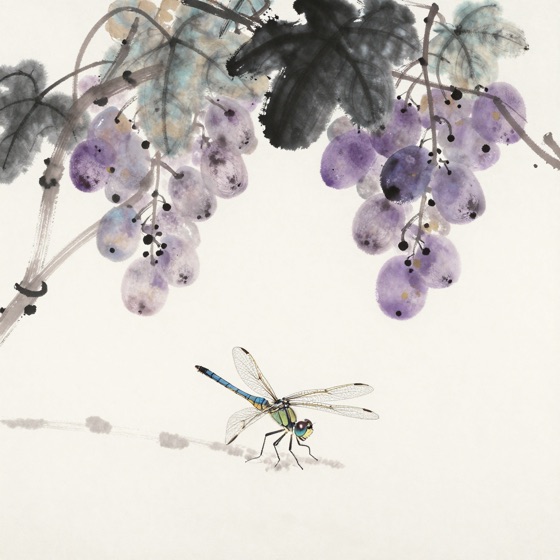 蜻蜓立葡萄