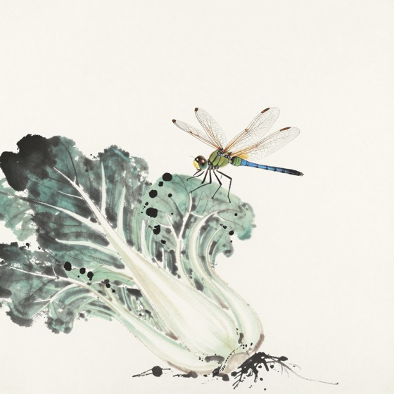 蜻蜓栖白菜