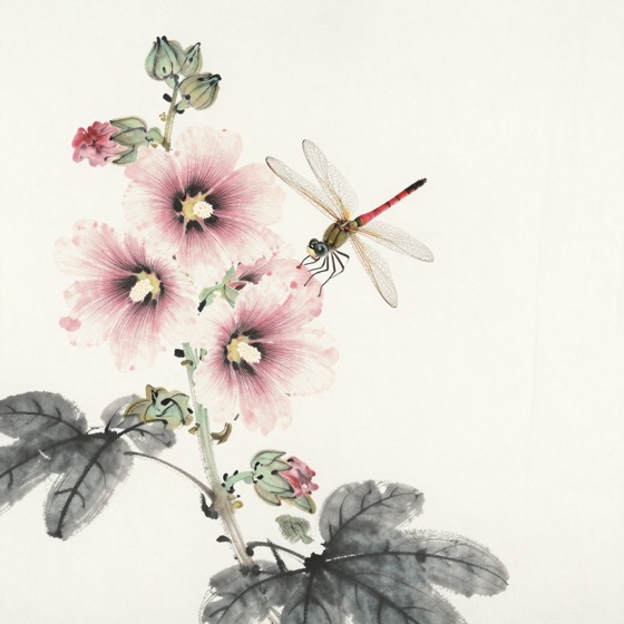 蜻蜓落蜀葵