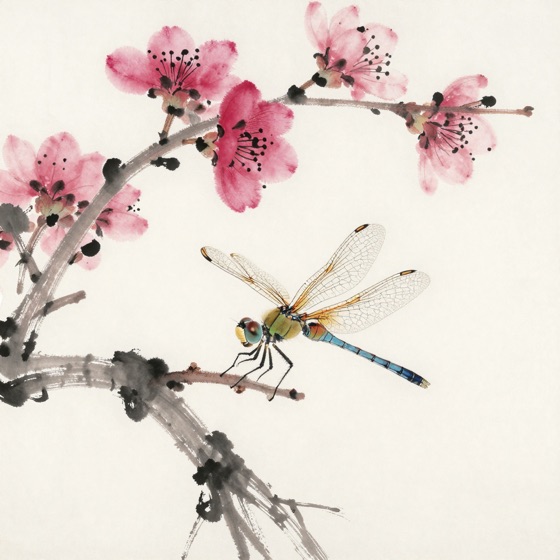 蜻蜓停桃花