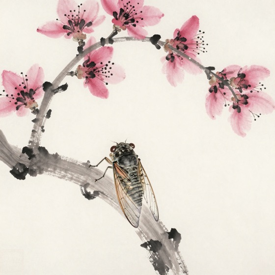 蝉憩桃花
