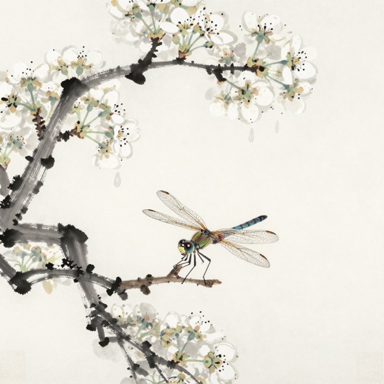 蜻蜓停梨花