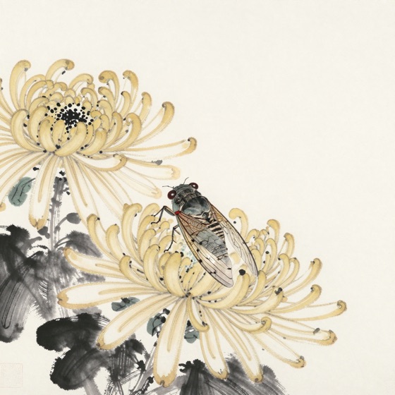 蝉驻菊瓣