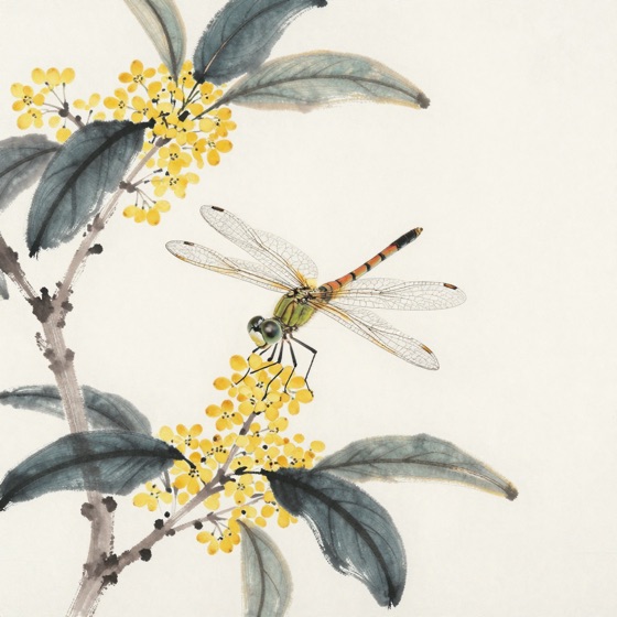 蜻蜓栖桂枝